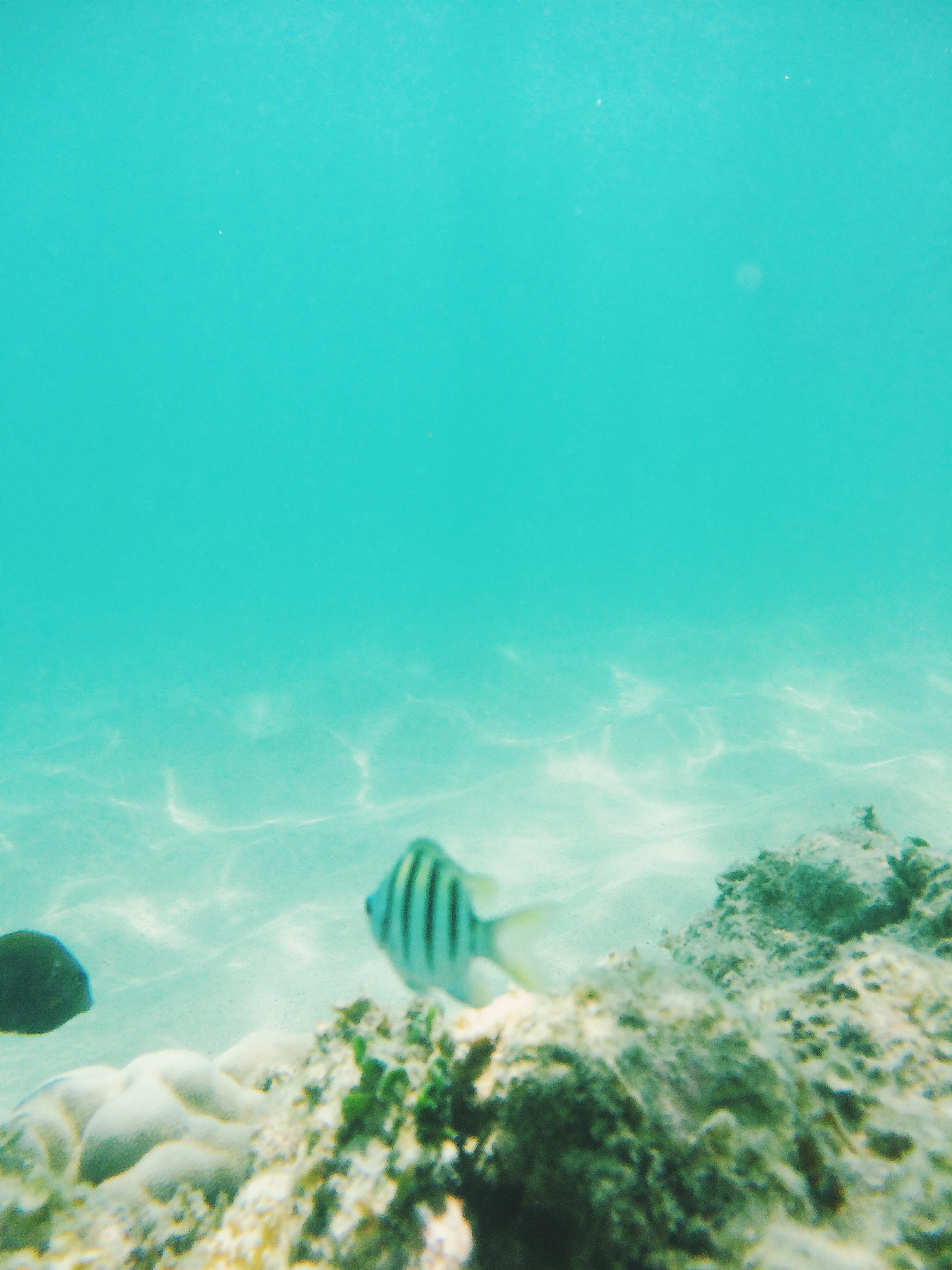 Hawaii 2014 photo via happymundane.com