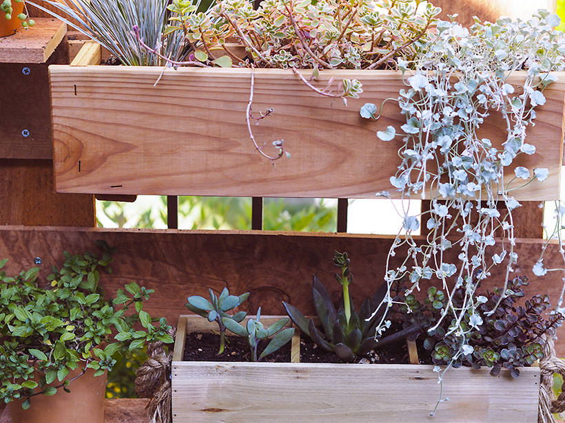 DIY Vertical box planter garden via happymundane.com