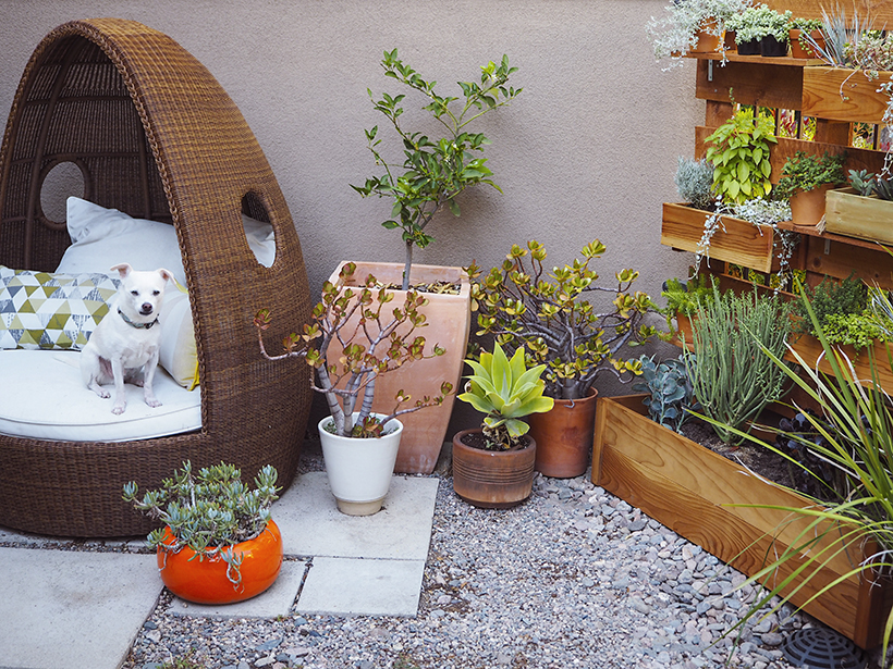 DIY Vertical box planter garden via happymundane.com