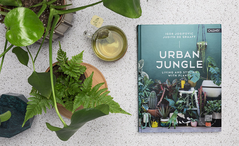 Urban Jungle book via happymundane blog